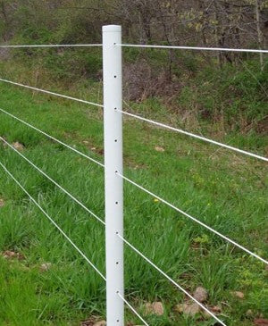 A Quick Reminder about your horse fence lines | Cameo Fencing