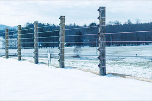 Winter Horse Safety by Cameo™ Horse Fence System