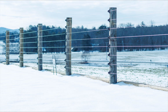  Cameo Horse Fence in winter snow.