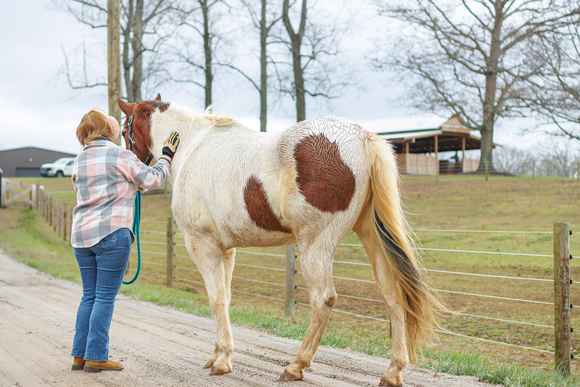 woman with horse and Cameo™ horse fence system