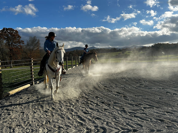 Horse Riding by Cameo Horse Fence System 