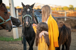 Why You Shouldn’t Blanket Your Horse When They’re Wet